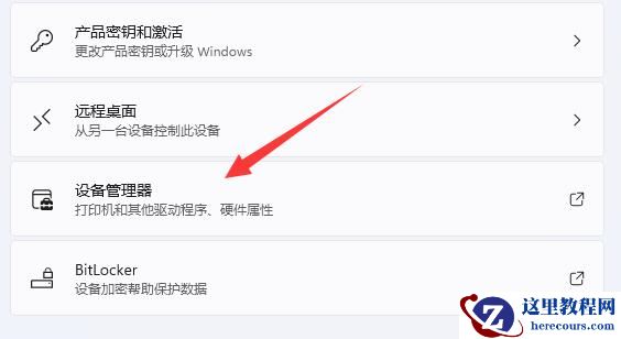 Win11如何查看自己电脑的显卡信息?Win11查看显卡配置方法