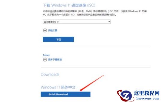 微软官网Win11镜像怎么下载安装 微软官网Win11镜像下载安装方法