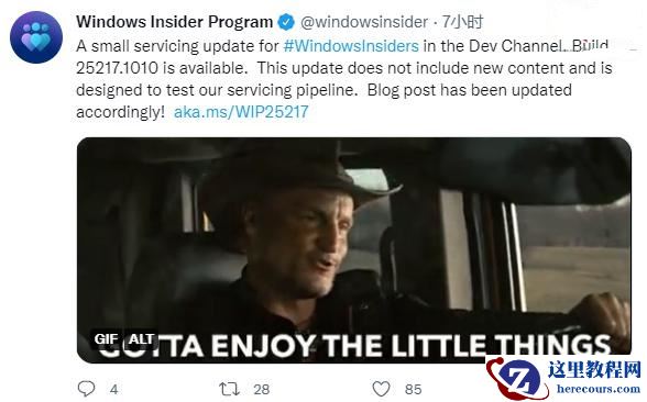 Win11 Dev预览版 25217.1010(KB5019765)推送！专门用于测试服务管道