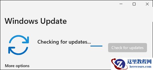 如何手动更新Windows11？手动更新Windows11方法教程