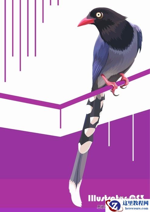 Illustrator色阶画法精细绘制鸟类插画