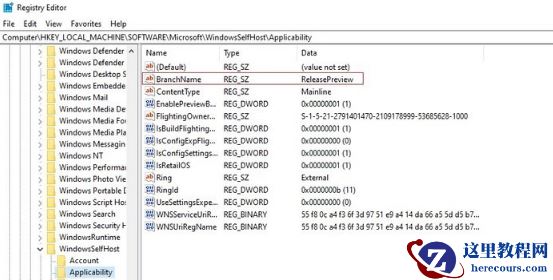Win11无法升级怎么办?如何绕开微软限制升级Win11?