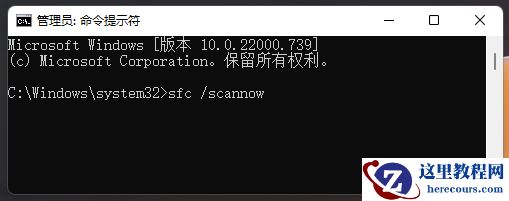 Win11系统xplorer频繁卡死