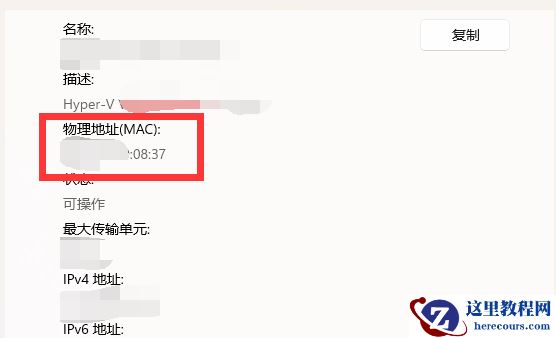 Win11怎么查看Mac地址？Win11查看Mac地址的步骤