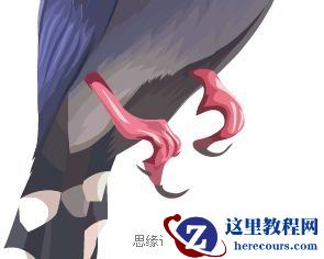 Illustrator色阶画法精细绘制鸟类插画