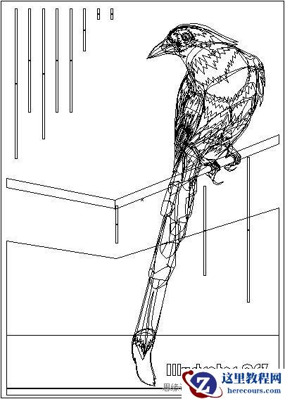 Illustrator色阶画法精细绘制鸟类插画