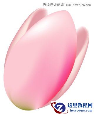 Illustrator使用渐变网格工具绘制漂亮郁金香