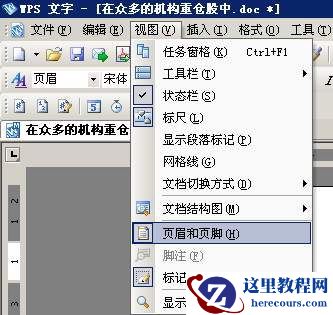 显示页眉和页脚