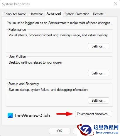 怎么在Windows11上禁用文件资源管理器搜索历史记录？