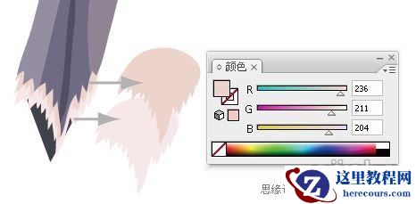 Illustrator色阶画法精细绘制鸟类插画