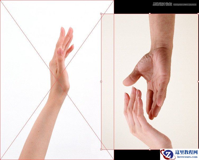 Illustrator CS5实例讲解制作方法指南