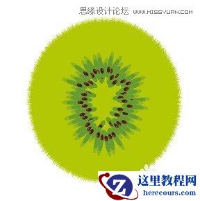 Illustrator绘制切开的猕猴桃效果图
