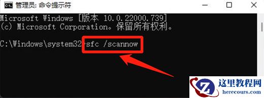 Win11文件系统错误怎么办？Win11文件系统错误的解决方法