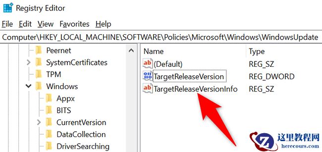 怎么阻止在Win10上安装Windows11更新?