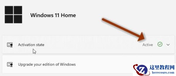 win11激活状态怎么看?win11查看系统激活状态教学