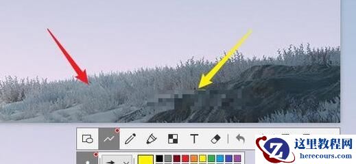 win11系统必装的九款软件!轻松填补系统使用短板