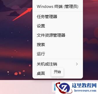 Win11预览版计划怎么退出 Win11退出预览版计划的方法介绍