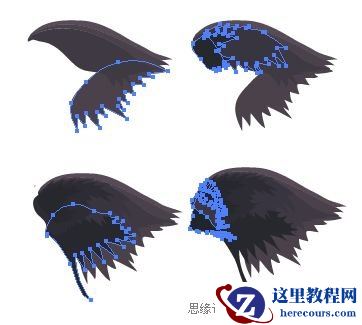 Illustrator色阶画法精细绘制鸟类插画