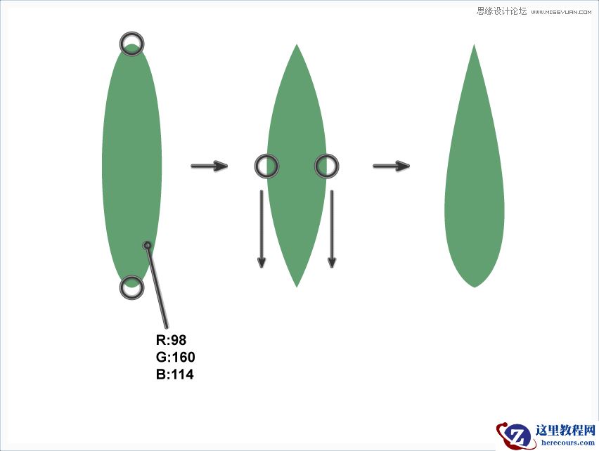 Illustrator绘制扁平化风格多肉植物教程