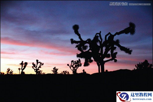 Illustrator在智能对象上添加纹理