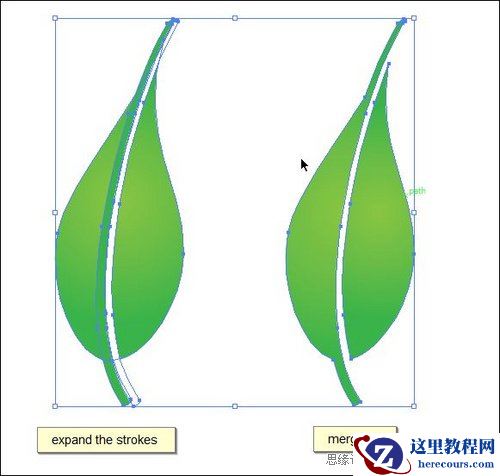 Illustrator创作自然景观矢量图封面