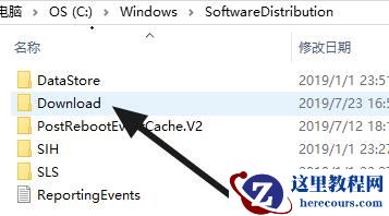 Win11语言包路径位置在哪？Win11语言包路径位置详细介绍