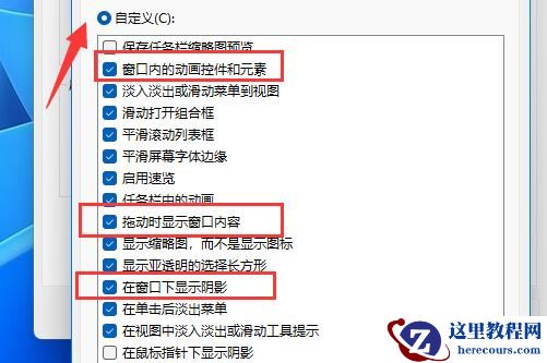 Win11窗口动画效果怎么设置？Win11设置窗口动画效果教程