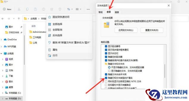 Win11文件后缀名如何显示？Win11文件后缀名显示操作方法