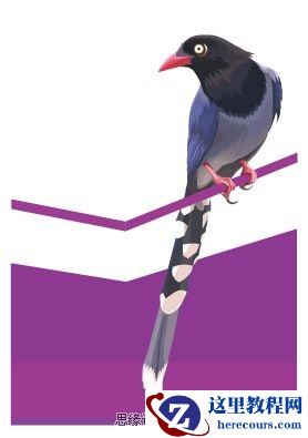 Illustrator色阶画法精细绘制鸟类插画