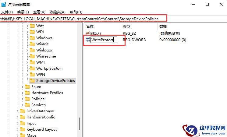win11磁盘被写保护如何处理？win11磁盘被写保护解除教学