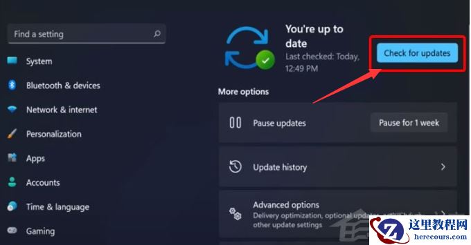 Win11显卡驱动怎么升级？Win11更新显卡驱动教程