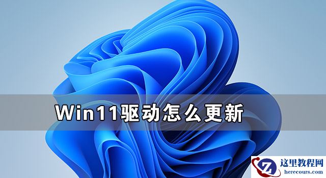 Win11兼容性视图设置在哪 Win11网页兼容性怎么设置