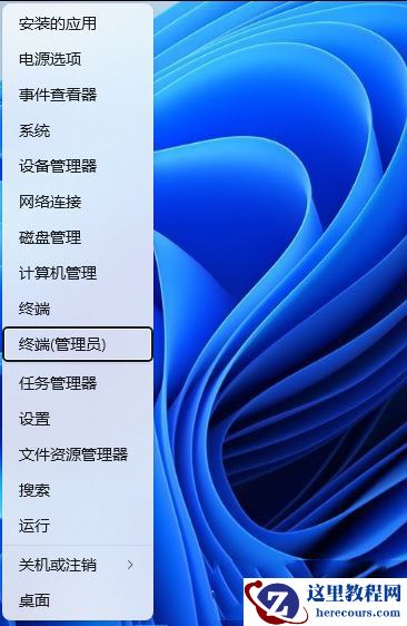 Win11使用flushdns命令后无法上网怎么解决?