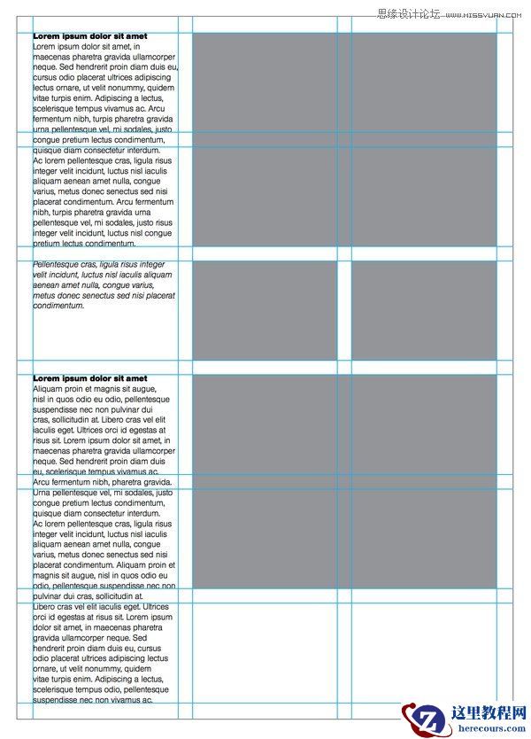 Illustrator教程:详细解析AI网格工具的使用