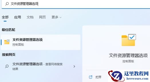 win11不显示文件类型怎么办? win11显示文件类型的方法教学