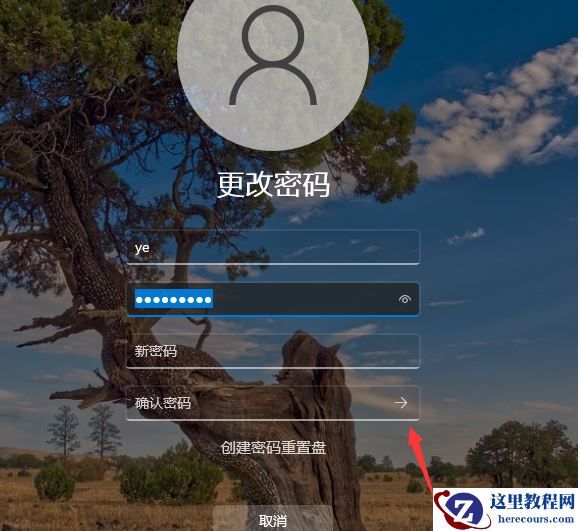 Win11怎么取消开机密码 Win11取消开机密码教程