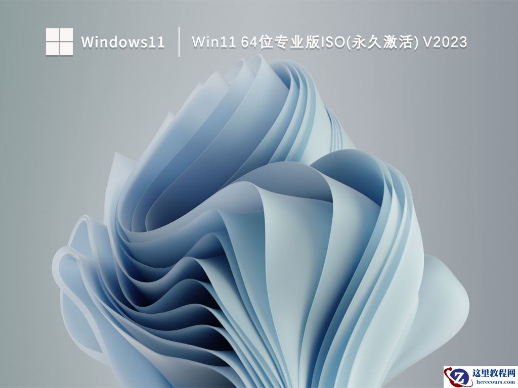 Win11专业版下载_Win11 64位专业版镜像下载