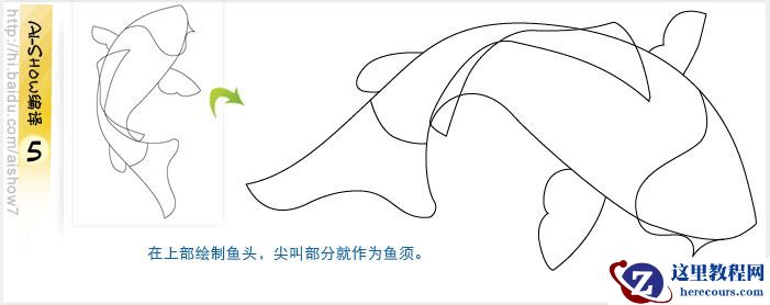 Illustrator鼠绘教程：绘制逼真的双鲤鱼
