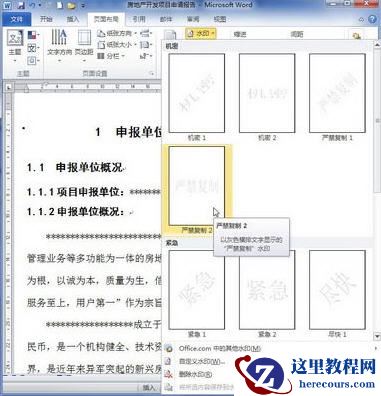 word2010添加和删除水印