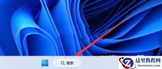 Win11使用flushdns命令后无法上网怎么解决?