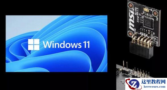 Win11系统怎么查询tpm版本？Win11系统查询tpm版本方法