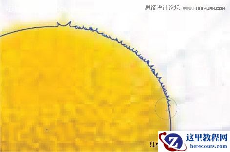 Illustrator绘制漂亮的白色雏菊效果