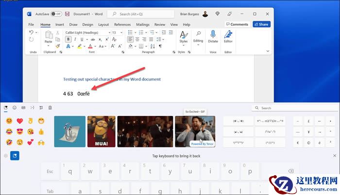 Win11系统怎么输入特殊字符?Win11输入特殊字符教程