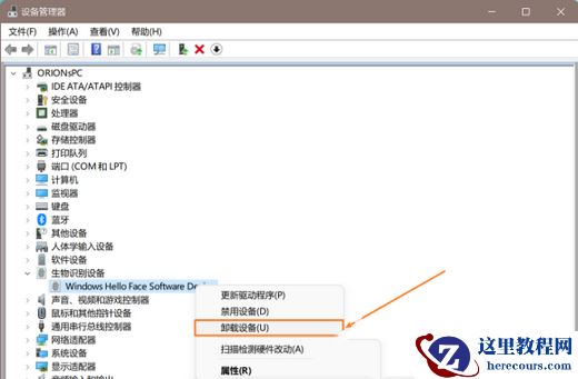 Win11人脸识别用不了怎么办?Win11人脸识别不可用解决方法