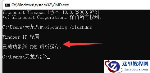 Windows11网络dns异常怎么解决?Win11系统dns异常无法上网的解决方法