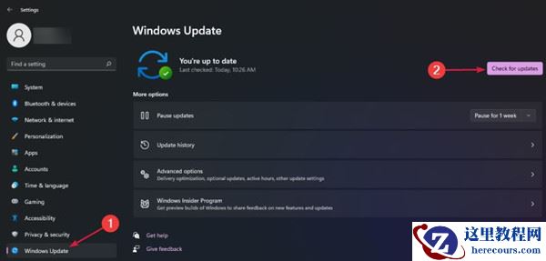 Windows11搜索栏用不了怎么办?Win11搜索栏用不了的解决方法