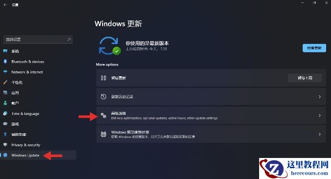 Win11预览版怎么退回Win10 Win11预览版回退Win10方法介绍