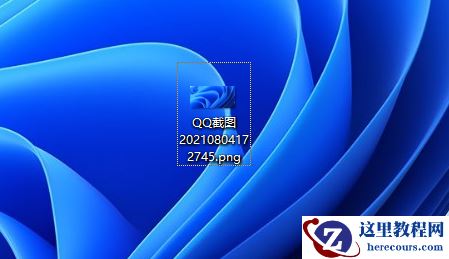 win11不显示文件类型怎么办? win11显示文件类型的方法教学