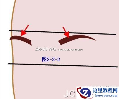 Illustrator插画人物系列之清纯美女的绘制