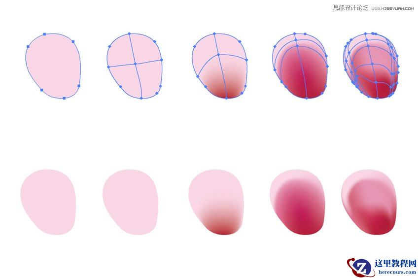 Illustrator绘制中国风牡丹花教程